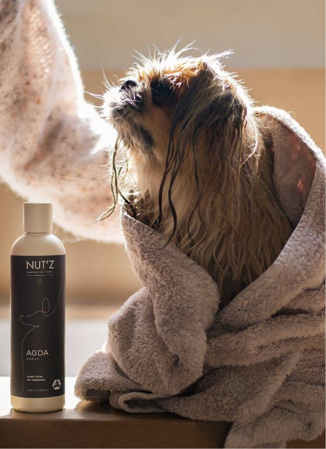 petit chien mouillé